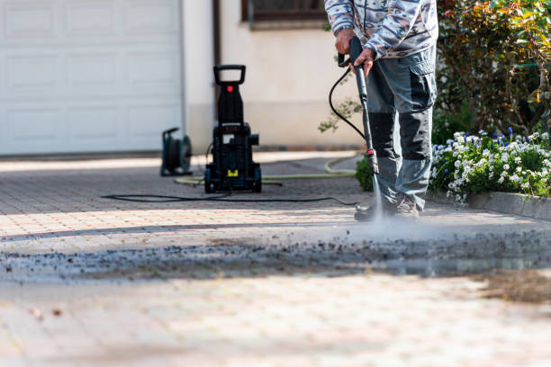 Best Exterior Home Cleaning  in Goodhue, MN