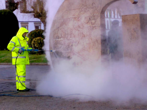 Best Best Pressure Washing Companies  in Goodhue, MN